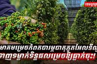 ទីផ្សារម្រេច