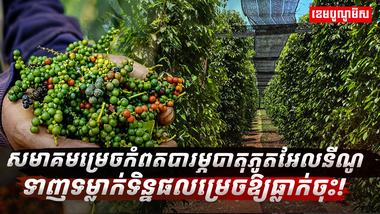 ទីផ្សារម្រេច