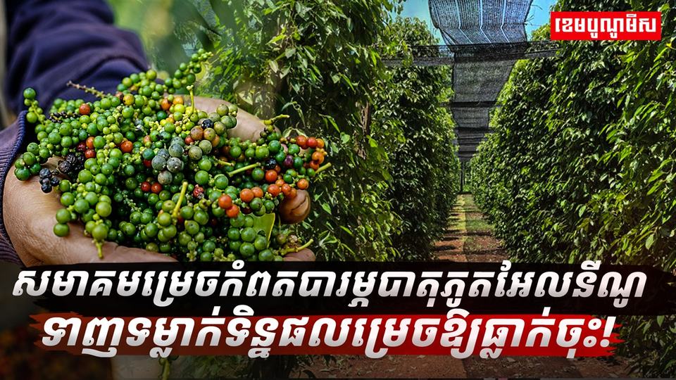 ទីផ្សារម្រេច