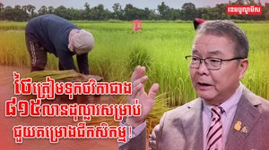 វិស័យកសិកម្ម