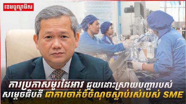 ​វិស័យ SME