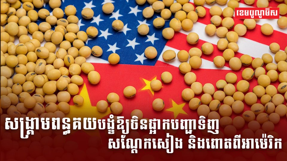 សង្គ្រាមពន្ធគយបង្ខំឱ្យចិនផ្អាកបញ្ជាទិញសណ្ដែកសៀង