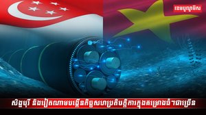 សិង្ហបុរី និងវៀតណាម