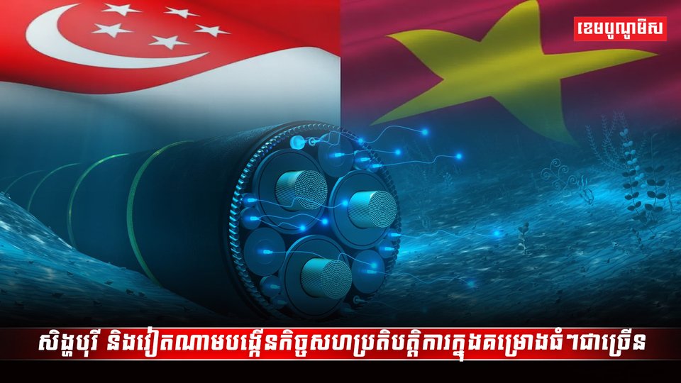 សិង្ហបុរី និងវៀតណាម
