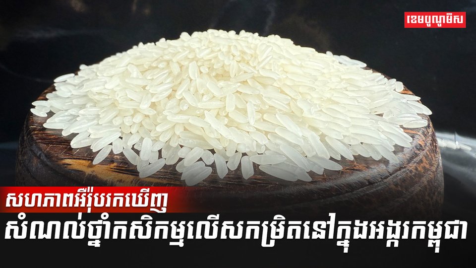 វិស័យស្រូវអង្ករ