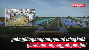 វិស័យស្វាយចន្ទី