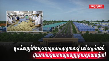 វិស័យស្វាយចន្ទី