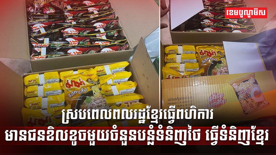 វិស័យ SME