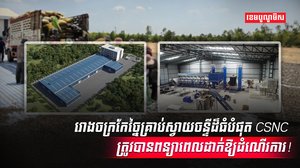 ដំណាំស្វាយចន្ទី