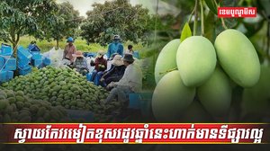 ដំណាំស្វាយ