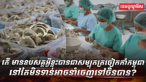 សម្បុកត្រចៀកកាំ​​