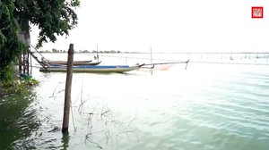 ទិដ្ឋភាពមួយផ្នែក​នៃ​បឹងតាមោក ជាបឹងដែលធំជាងគេបំផុត នៅ​រាជ​ធានី​ភ្នំពេញ។