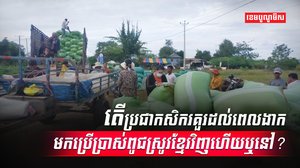 វិស័យកសិកម្ម