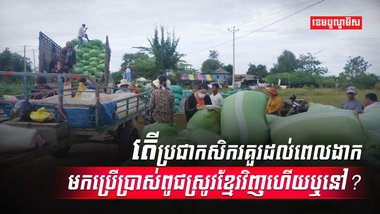 វិស័យកសិកម្ម
