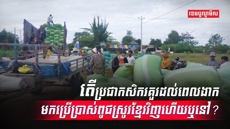វិស័យកសិកម្ម
