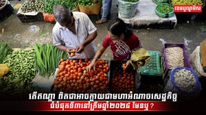 វិស័យសេដ្ឋកិច្ច