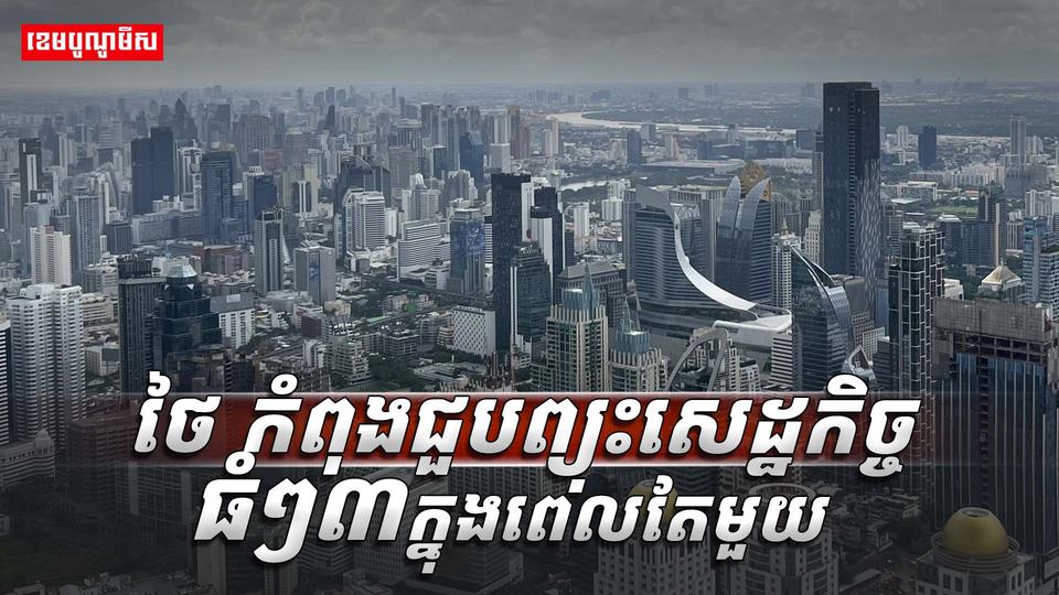 វិស័យ SME