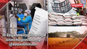 វិស័យកសិកម្ម