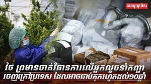 ដំណាំកញ្ឆា