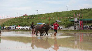 ប្រទេស​ថៃ​លៃ​ថវិកាជាង ២,៤​ពាន់​លាន​ដុល្លារ​សម្រាប់​ឲ្យ​កសិករ​ខ្ចី​ដើម្បី​ពន្យារ​ពេល​ការ​លក់ស្រូវ។