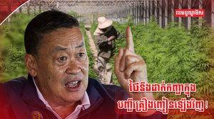 ដំណាំកញ្ឆា