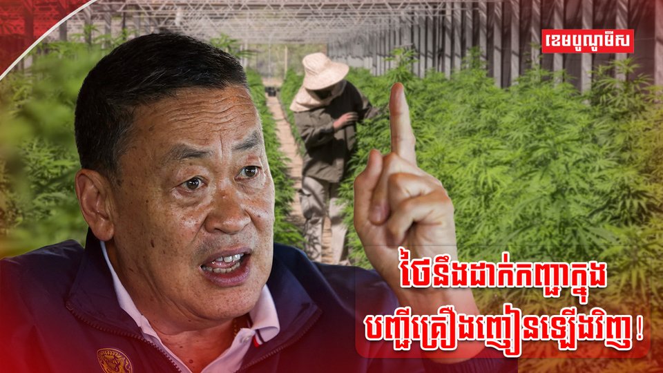 ដំណាំកញ្ឆា