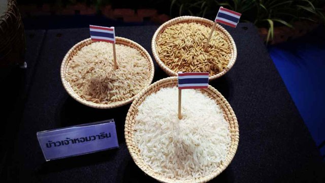 ថៃទម្លាក់គោលដៅនាំចេញអង្ករមកត្រឹម ៦.៥លានតោនប៉ុណ្ណោះ នៅឆ្នាំ២០២០នេះ (រូបភាព៖ Thailand Business News)