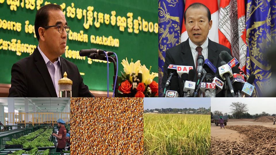ក្រសួងកសិកម្ម និងក្រសួងពាណិជ្ជកម្ម៖ វីរុសកូរ៉ូណា មិនបានប៉ះពាល់ដល់ការនាំចេញផលិតផលកសិកម្មកម្ពុជាទៅចិននោះទេ