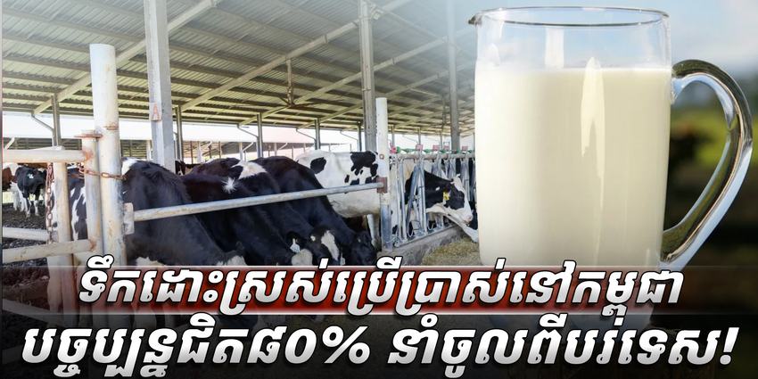 ទឹកគោស្រស់