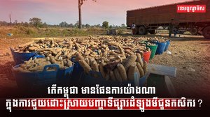 ទីផ្សារដំឡូងមី