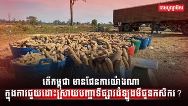 ទីផ្សារដំឡូងមី