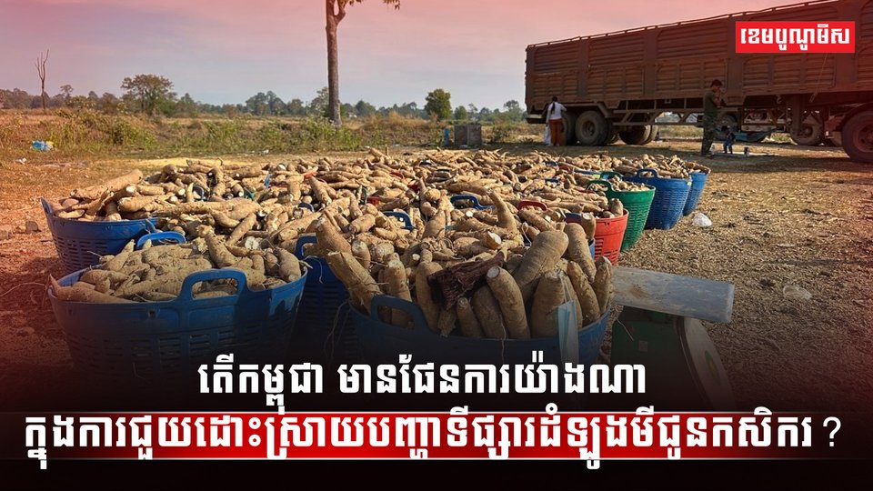 ទីផ្សារដំឡូងមី