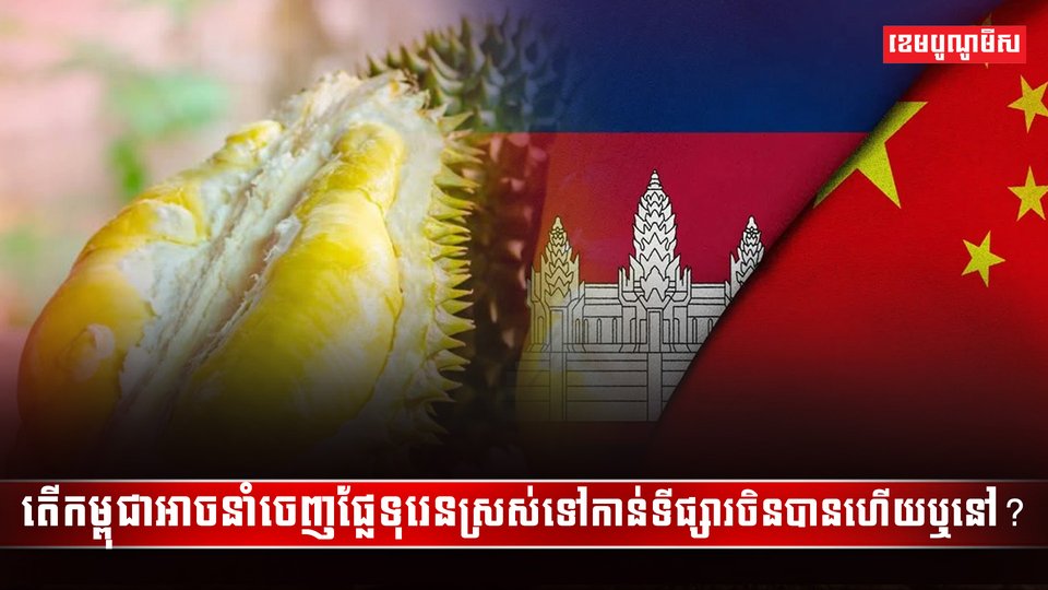 វិស័យកសិកម្ម