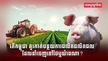 វិស័យផលិតកម្ម