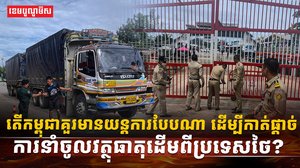 តើកម្ពុជាគួរមានយន្តការបែបណា_ដើម្បីកាត់ផ្តាច់ការនាំចូលវត្ថុធាតុដ