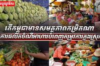 វិស័យ​ SME
