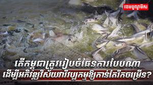 វិស័យ​​វារីវប្បកម្ម