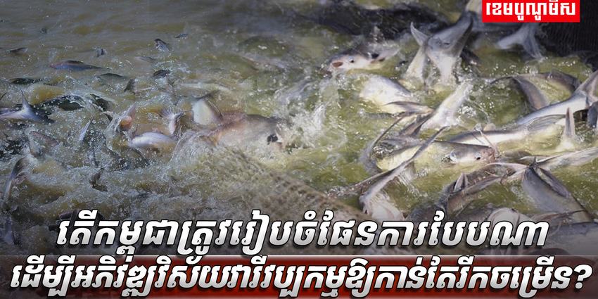 វិស័យ​​វារីវប្បកម្ម