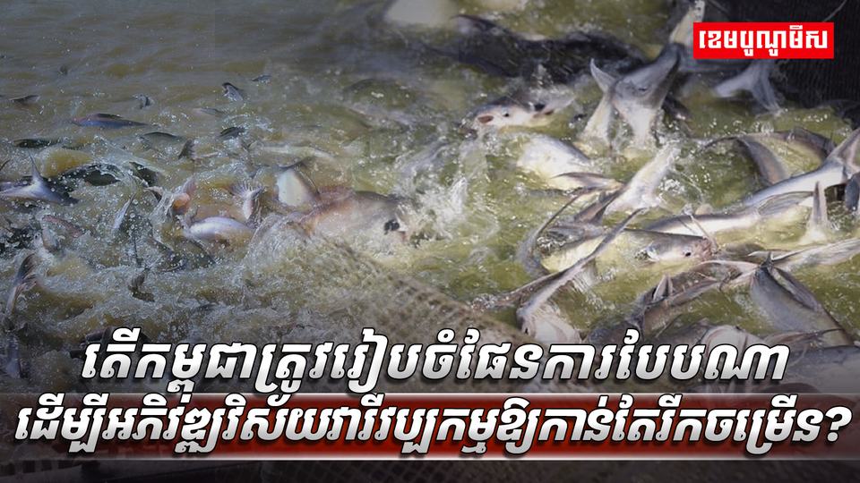 វិស័យ​​វារីវប្បកម្ម