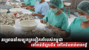 សម្បុកត្រចៀកកាំ
