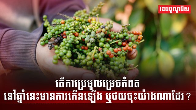 វិស័យកសិកម្ម