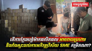 វិស័យ SME​