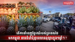 វិស័យពាណិជ្ជកម្ម