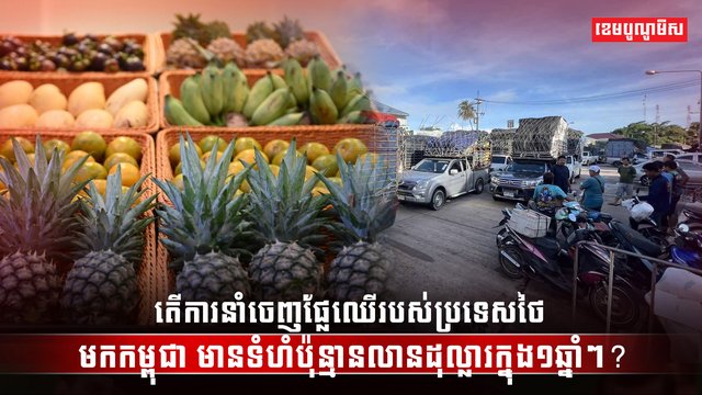 វិស័យពាណិជ្ជកម្ម