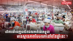 វិស័យកាត់ដេរ