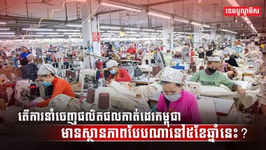 វិស័យកាត់ដេរ