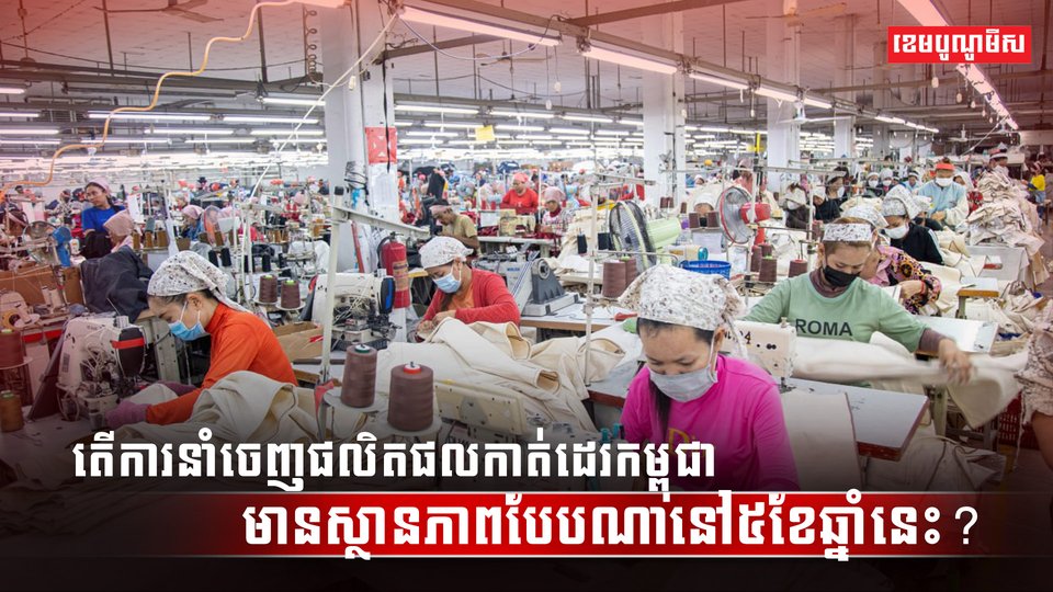 វិស័យកាត់ដេរ