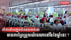 វិស័យកាត់ដេរ
