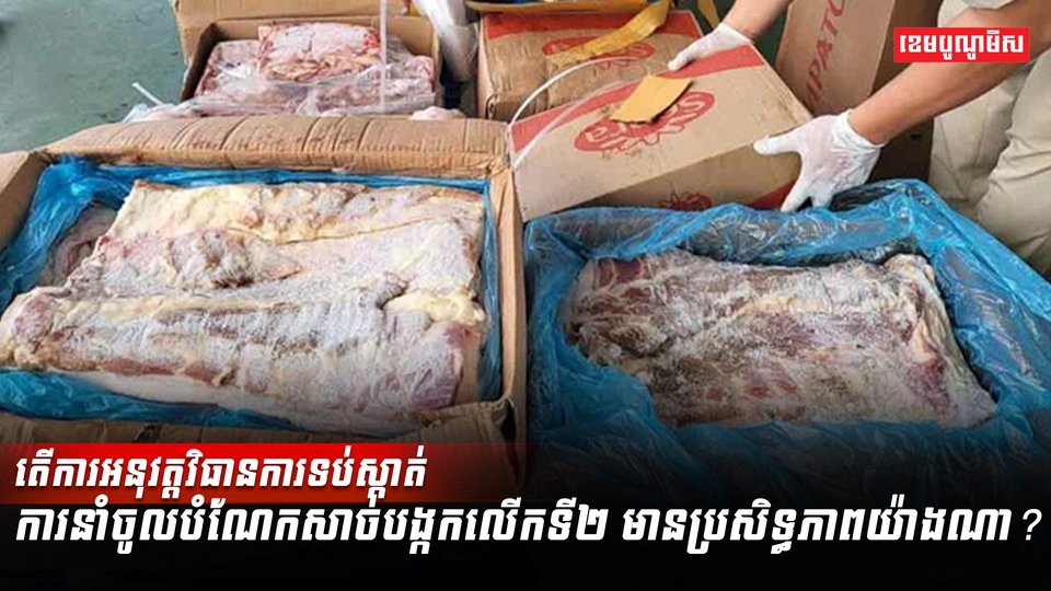 សាច់បង្កក