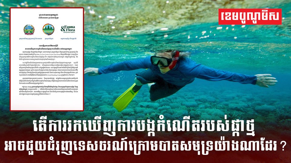 វិស័យ ទេសចរណ៍